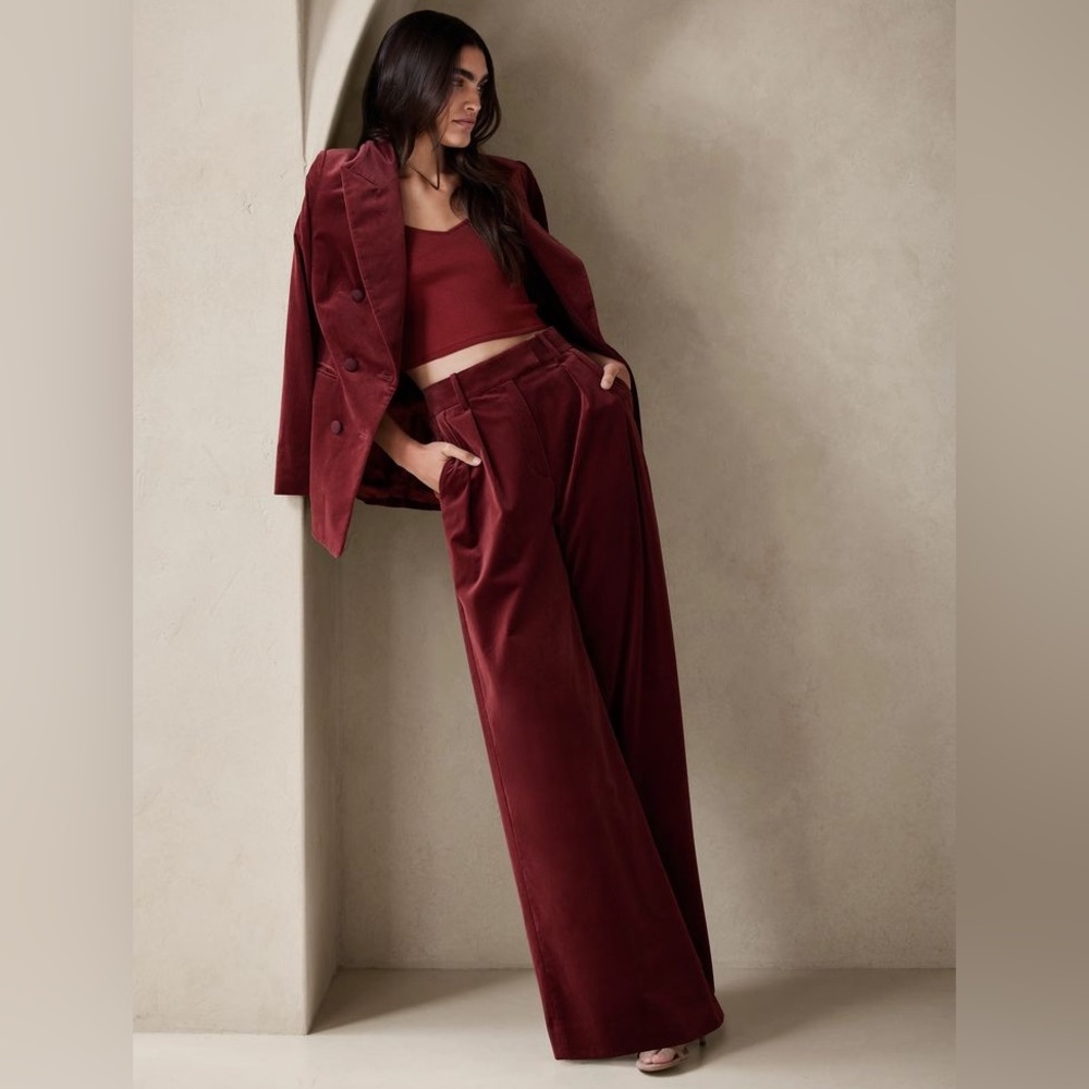 Banana Republic Veluro Relaxed Velvet Pant - Size 10